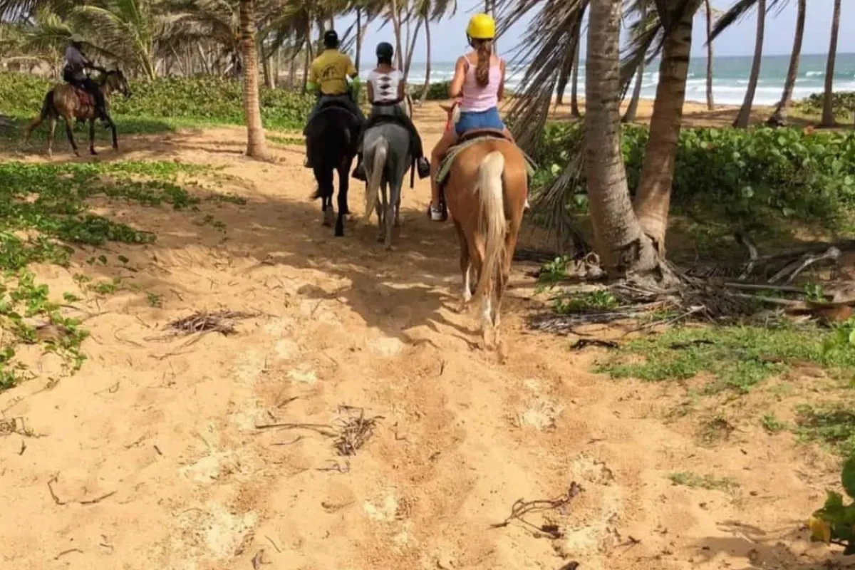 Beach Horseback Riding - Imagen 2