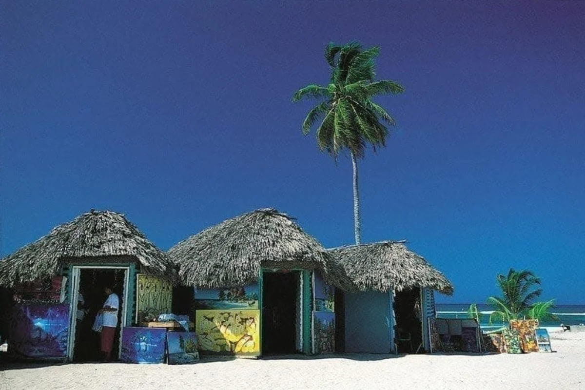 Isla Saona (5)