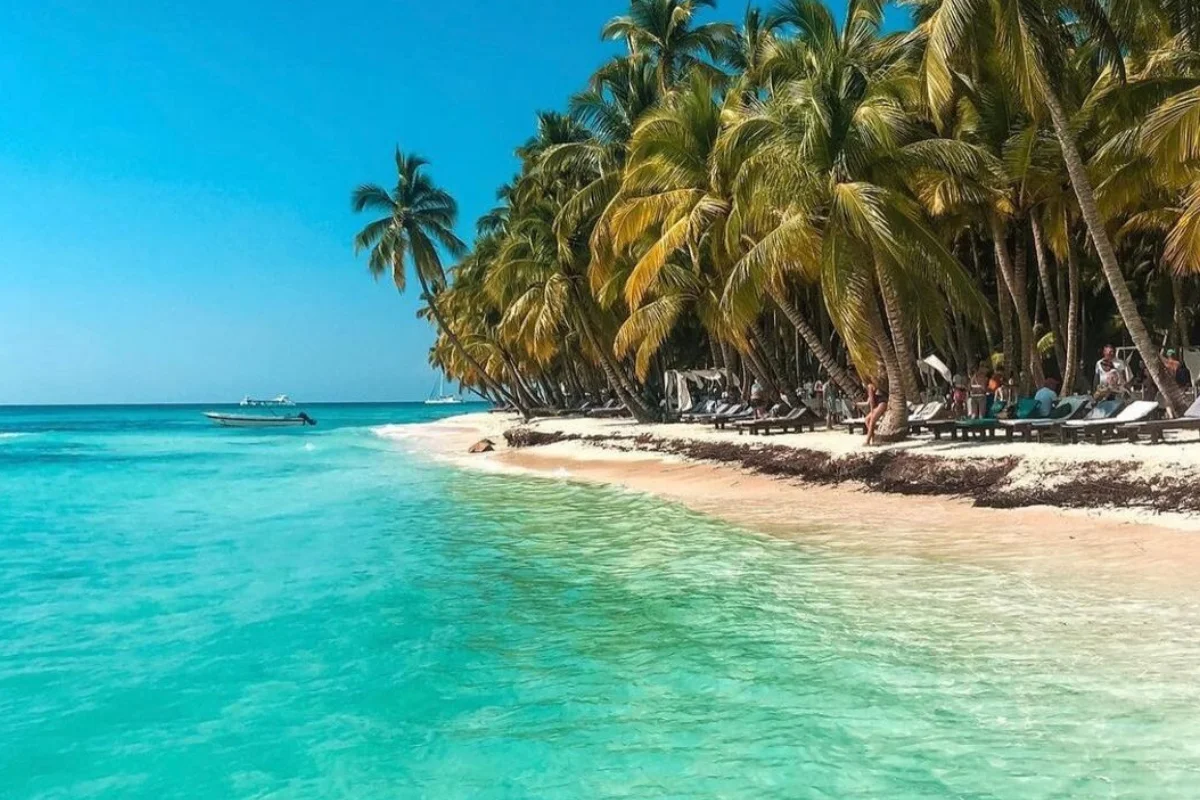 Isla Saona | Descubra el paraíso escondido - Imagen 6