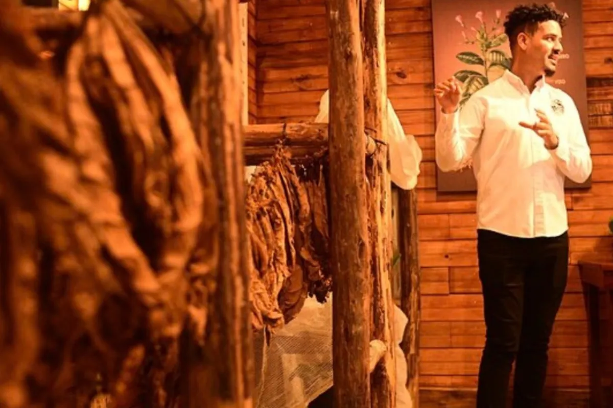 Exclusiva experiencia de Cata de Rones y Cigarros Dominicanos - Imagen 4