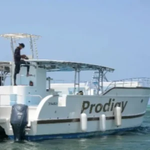 Prodigy | Hasta 70 personas