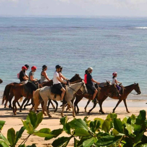 Beach Horseback Riding