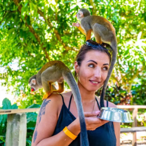Monkey Land más visita a plantación local