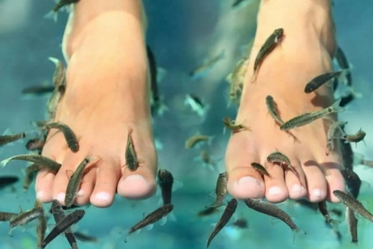Sea Spa Therapy - Imagen 4