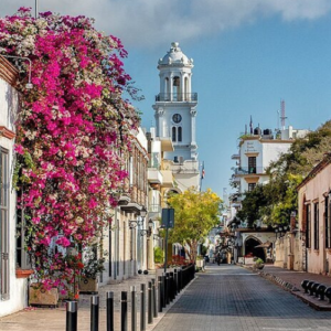 ¡Vive Santo Domingo!