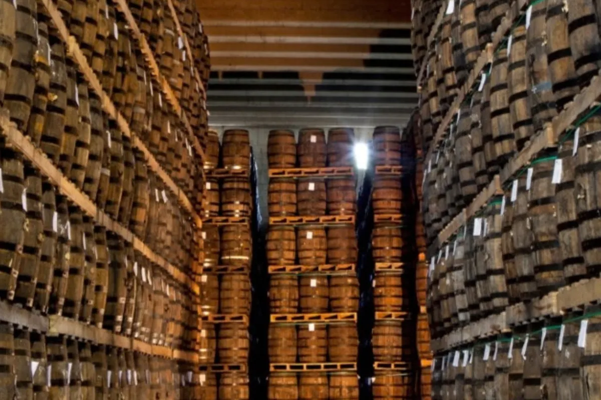 Experiencia de Ron y Tabaco Dominicano - Imagen 4