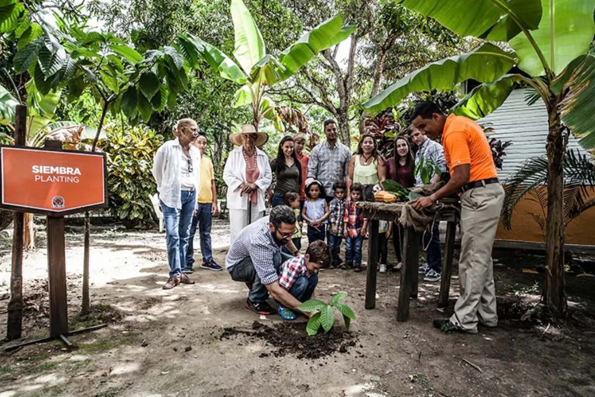 Explora el cacao dominicano - Imagen 3